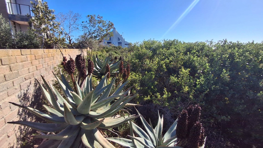 0 Bedroom Property for Sale in Vleesbaai Western Cape